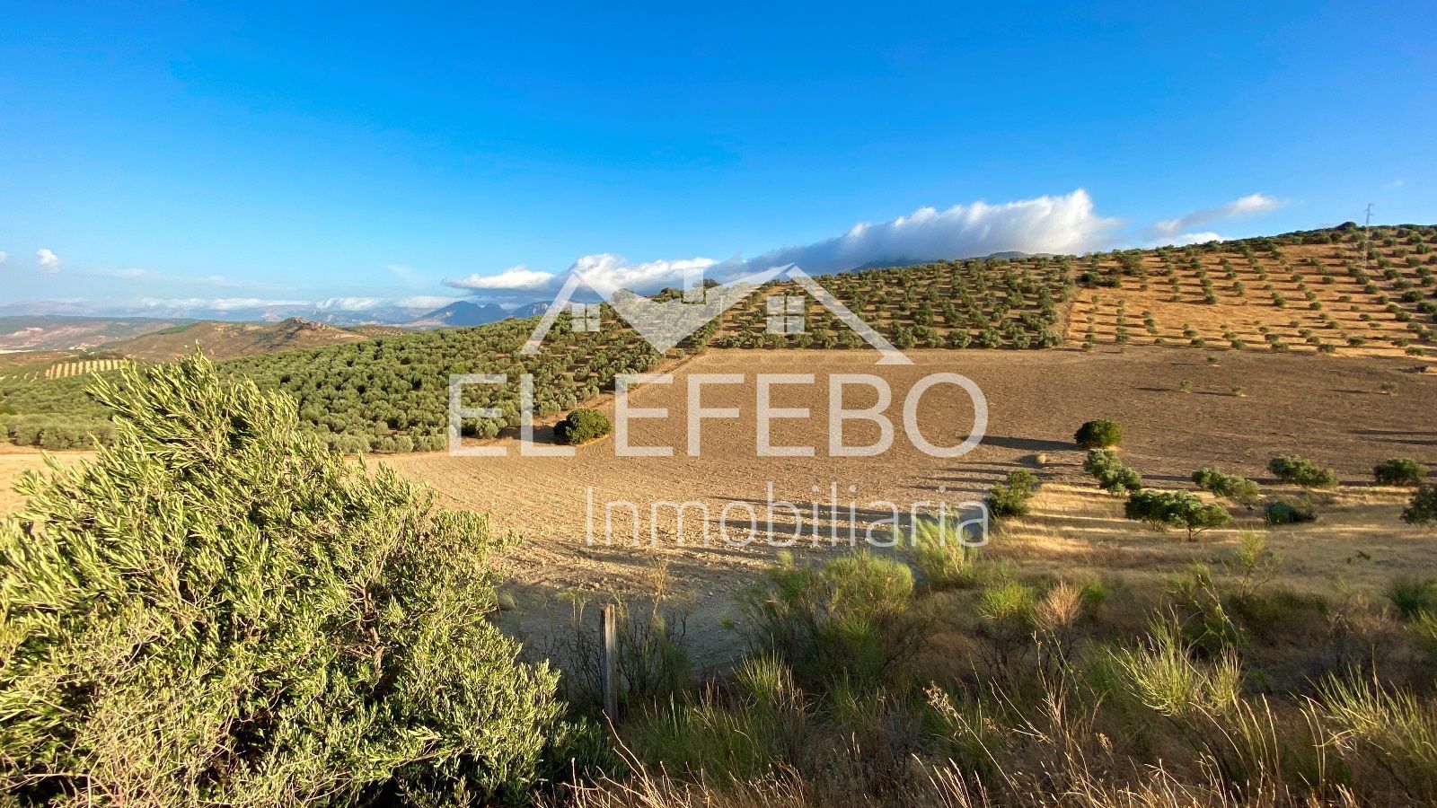 Land for sale in Centro