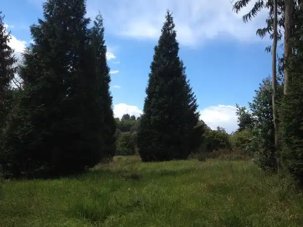 Terreni e lotti in vendita a Nós, imagen 15