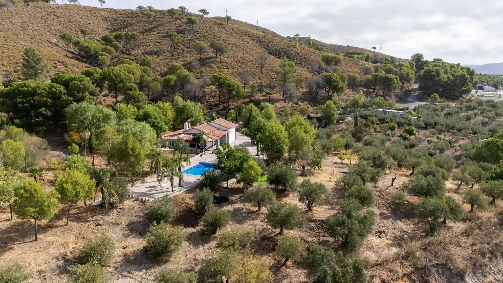 Terrenos y solares en venta en Casarabonela, imagen 30