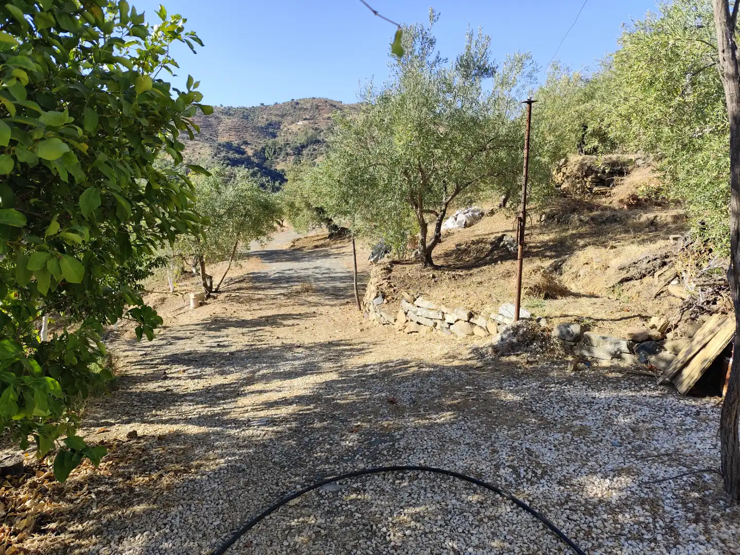 Rustikales Grundstück zum Verkauf in Tolox, imagen 6