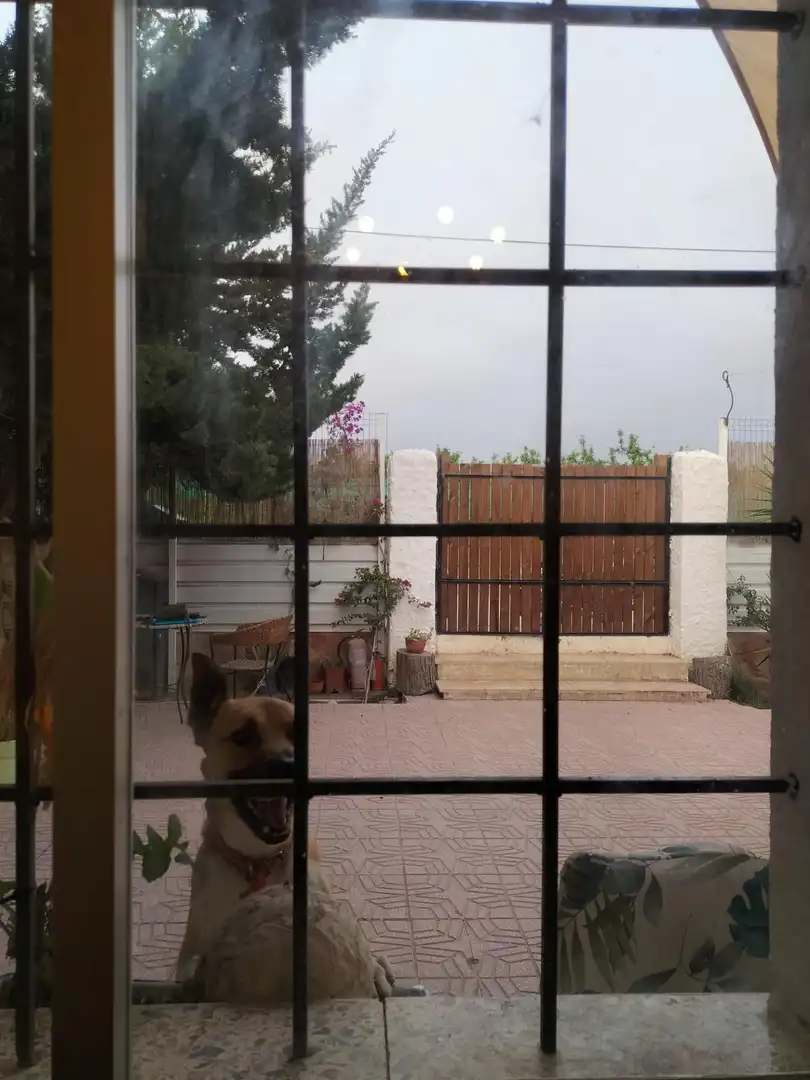 Grundstücke und Bauplätze zum Verkauf in Oria, imagen 11