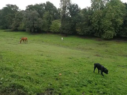 Terrenys i solars en venda a Corvera de Asturias, imagen 3