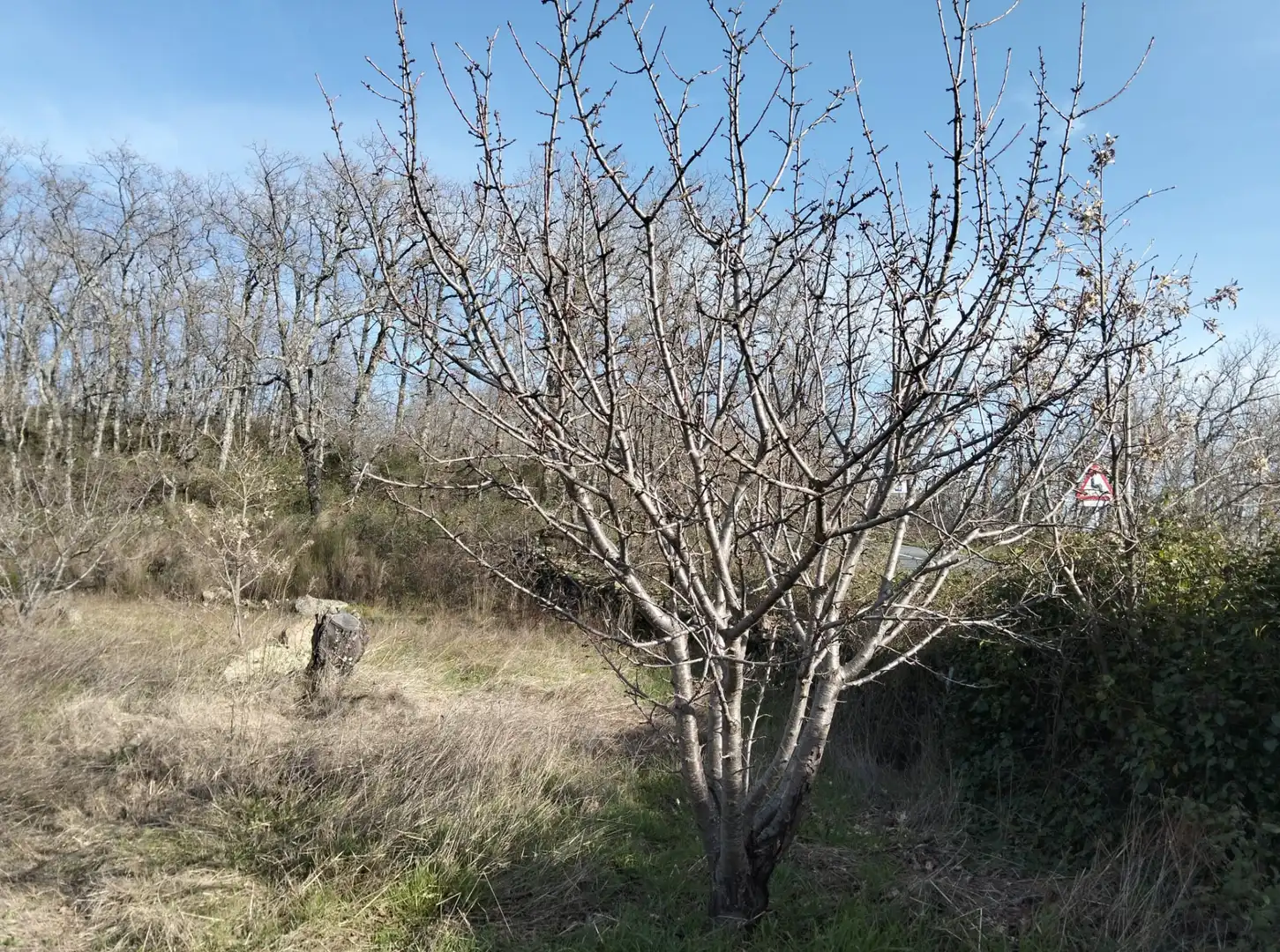 Terreno en venta en Barrado
