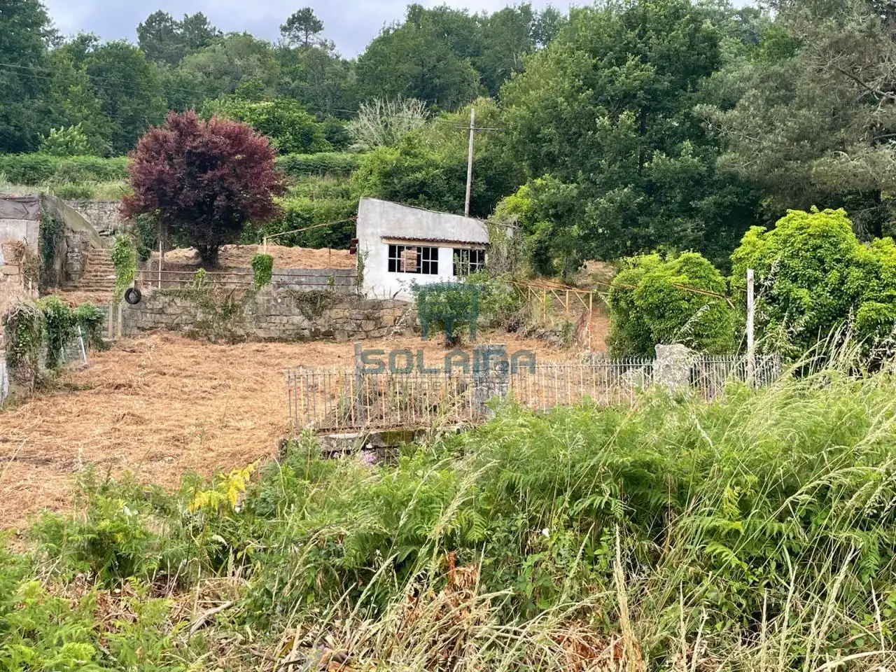 Terreni e lotti in vendita a Punxín, imagen 20
