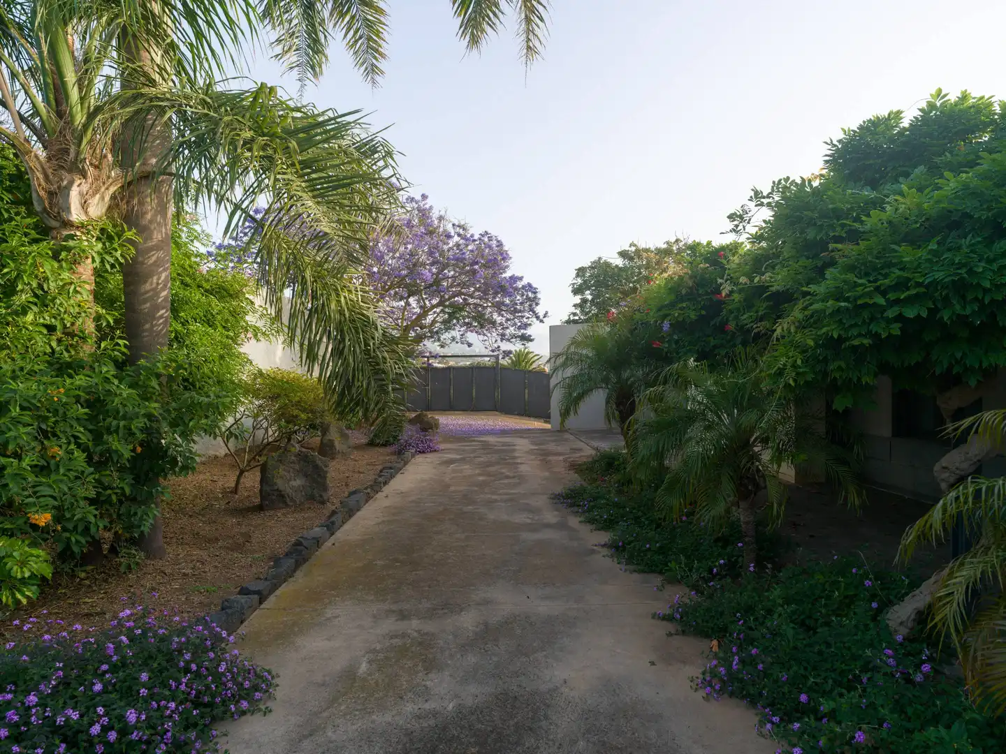 Vista exterior de Casa o chalet en venta en Tacoronte con Calefacción, Jardín privado y Terraza