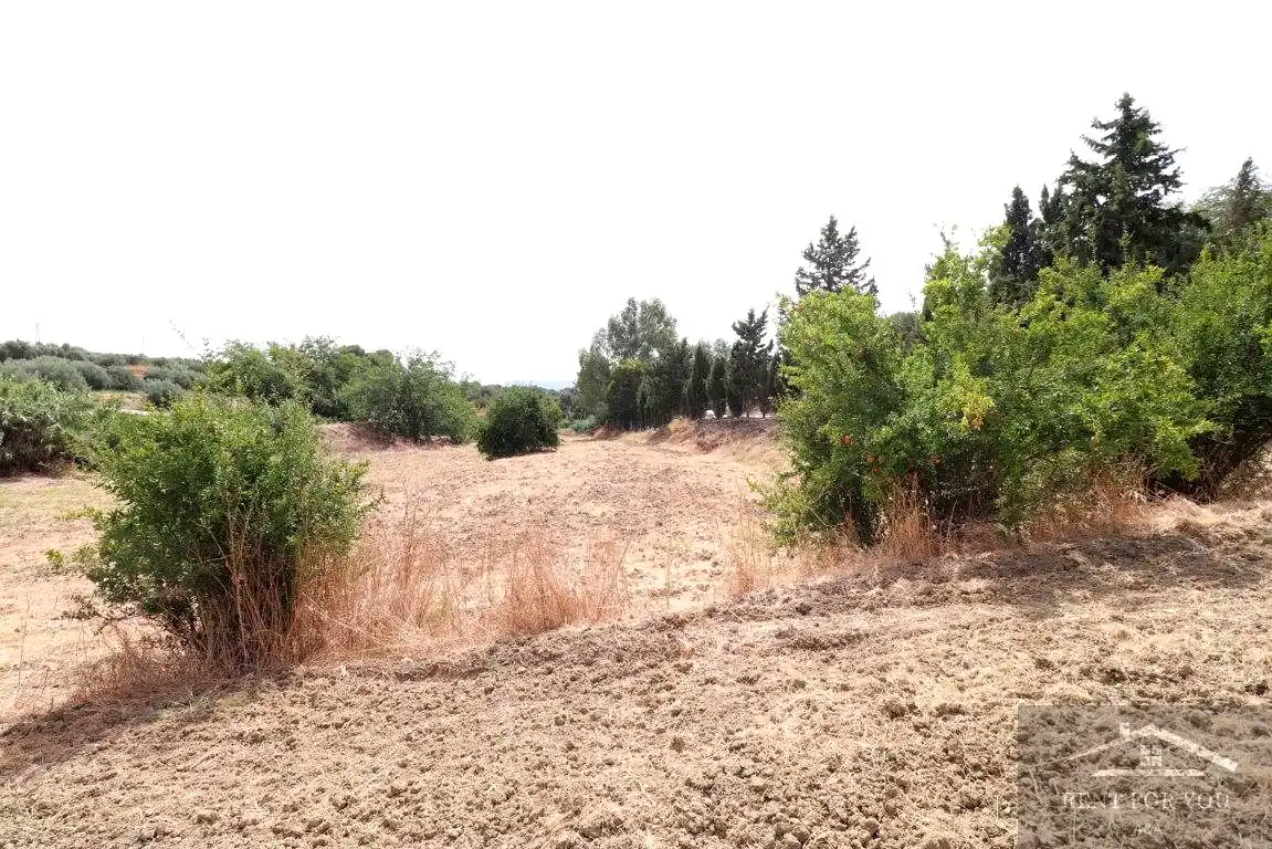 Terreni e lotti in vendita a Centro, imagen 16