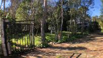 Jardí de Casa o xalet en venda en Xàtiva amb Calefacció, Terrassa i Piscina