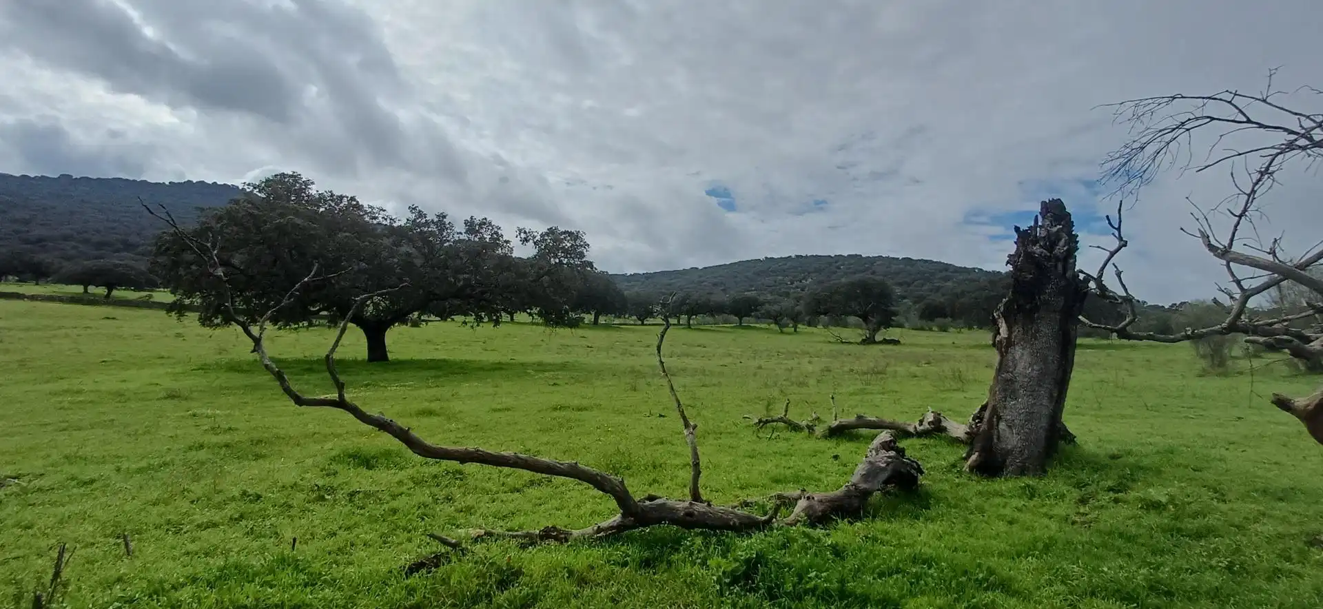 Finca rústica en venta en Jerez de los Caballeros