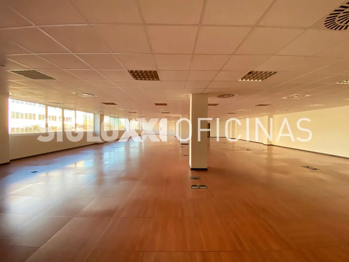 Oficina de lloguer a PLOM