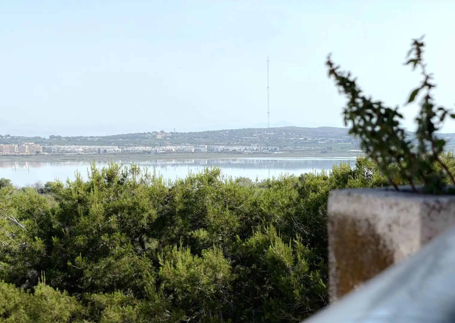Estudio en venta en Torrevieja con Terraza