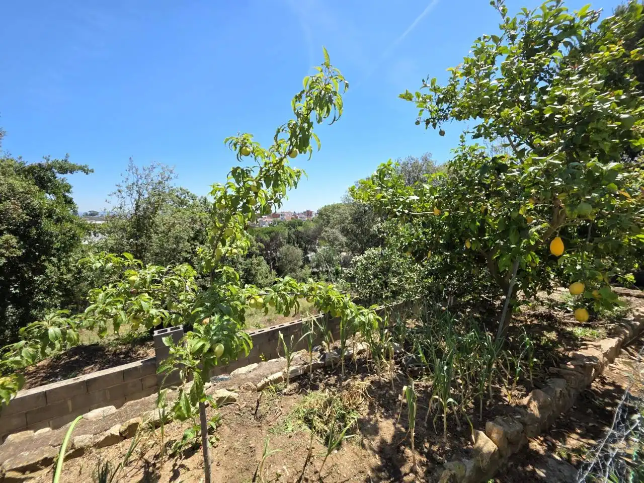 Casa o xalet en venda en Malgrat de Mar amb Aire condicionat, Calefacció i Jardí privat