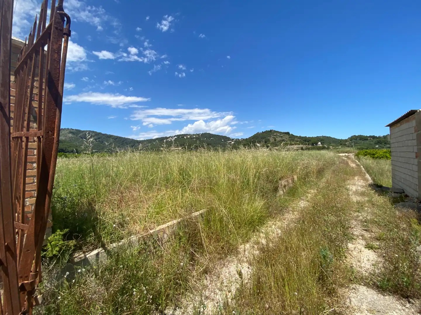Terrain rustique à vendre à Oliva pueblo, imagen 4
