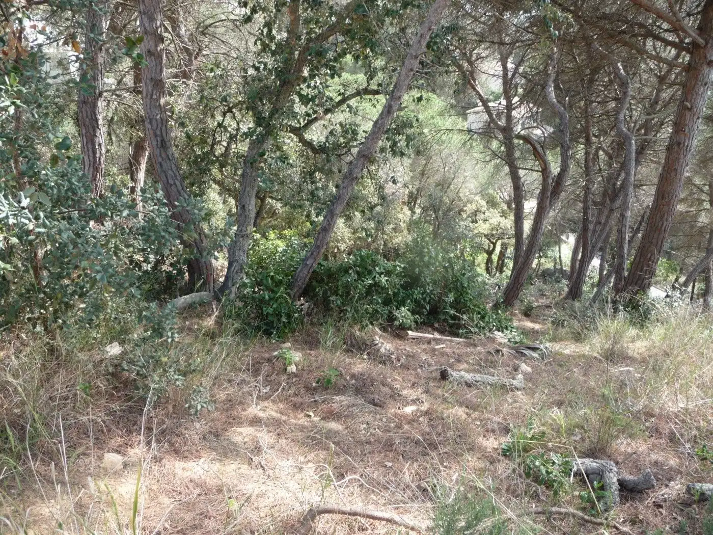 Residential land for sale in Serra Brava, imagen 3