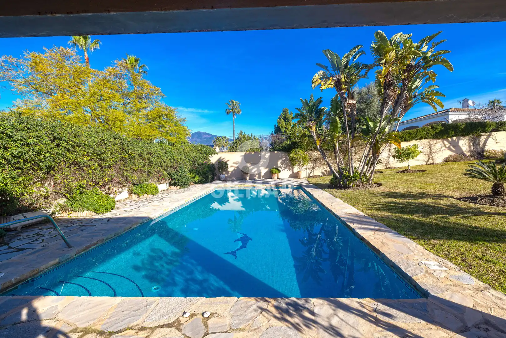 Piscina de Residencial en venta en Marbella