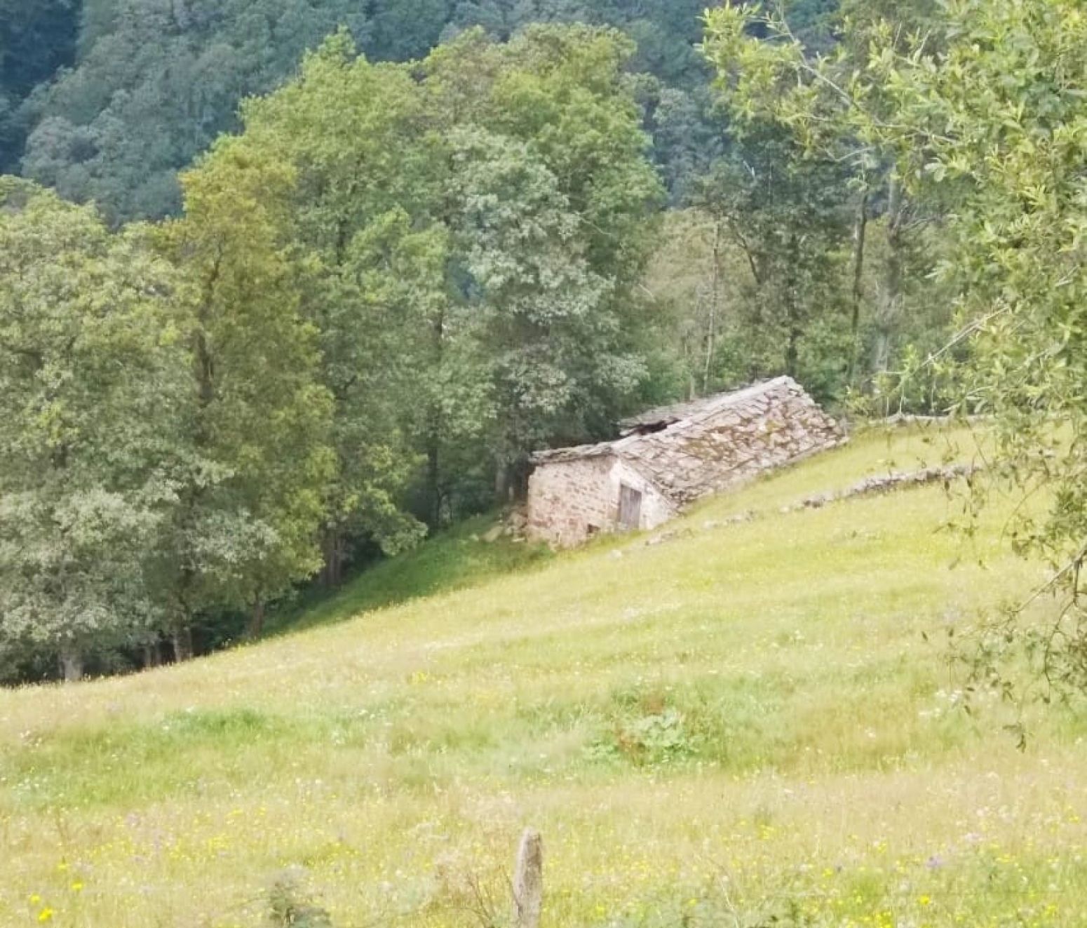 Casa o chalet en venta en Vega de Pas con Jardín privado
