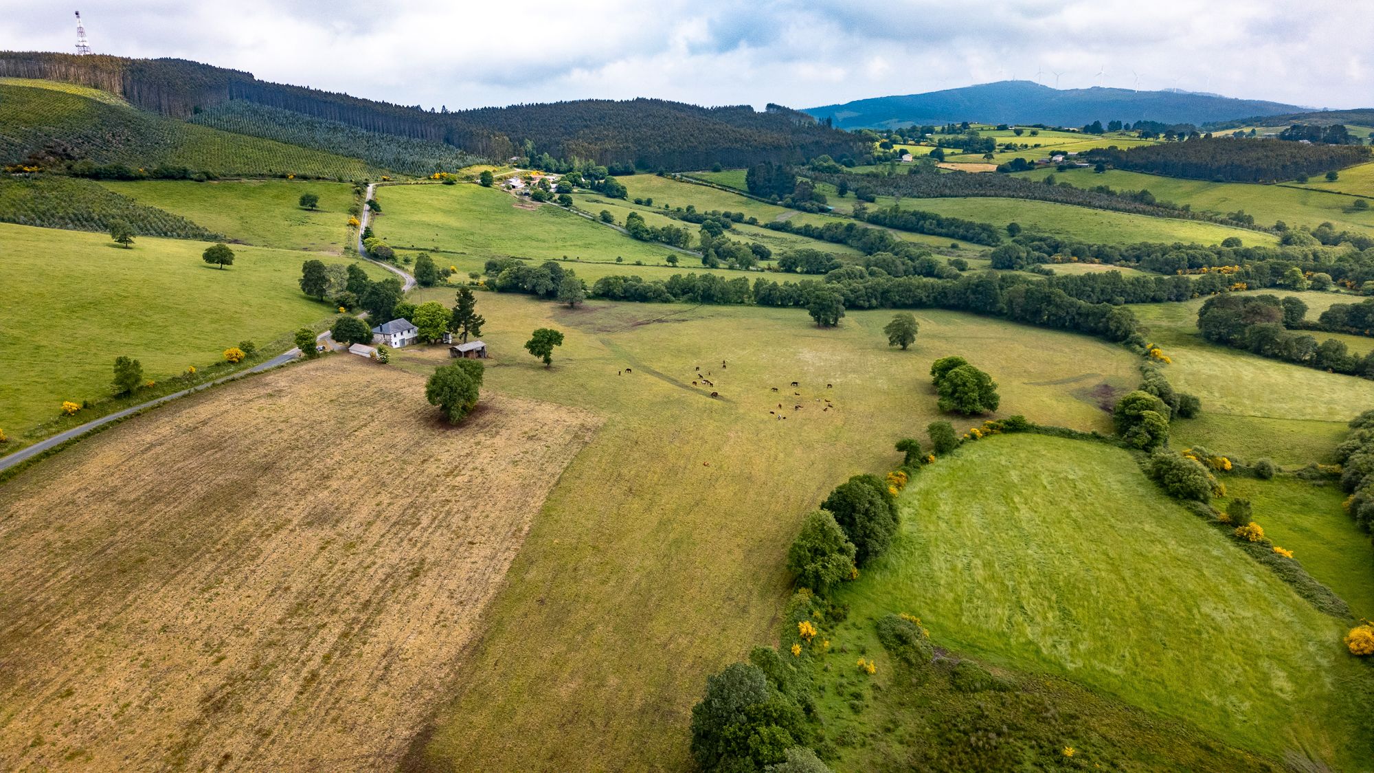Country house for sale in Friol  with Furnished