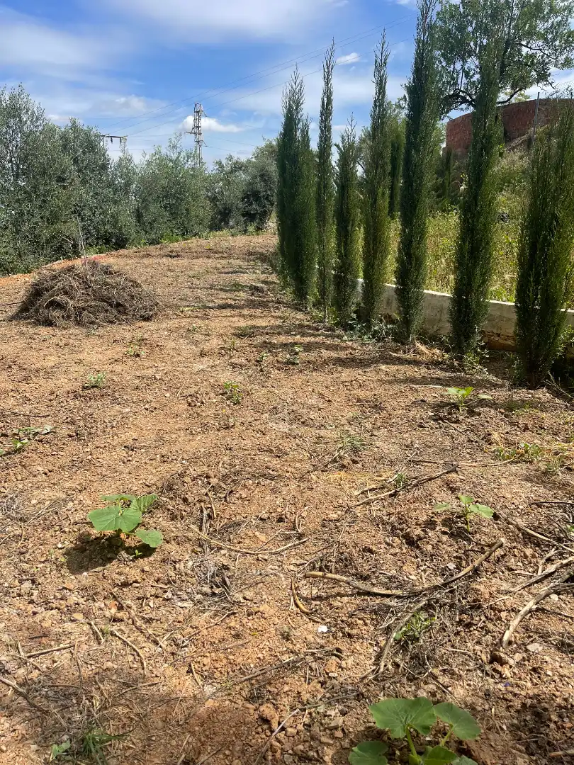 Terreno en venta en Guaro