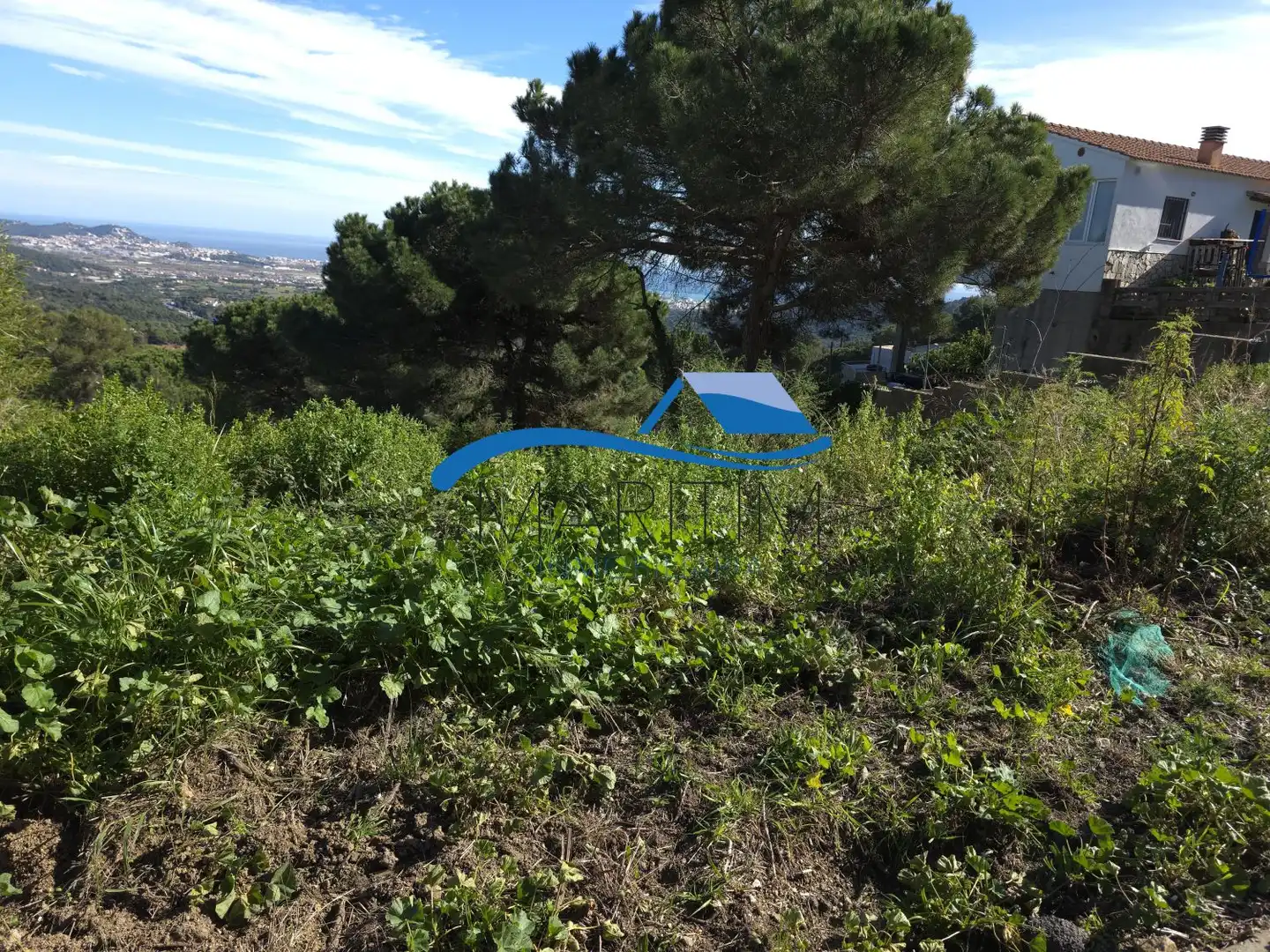 Lands and plots for sale in Condor, imagen 7