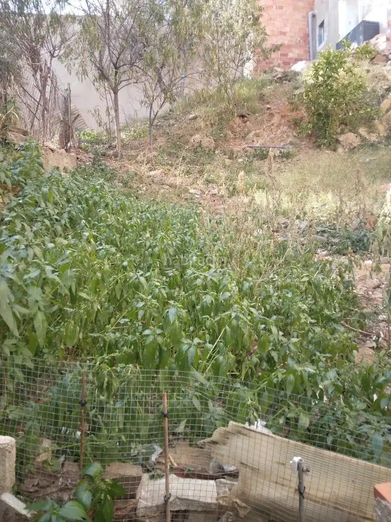 Terreno residenziale in vendita a Carrer de Briquets 65