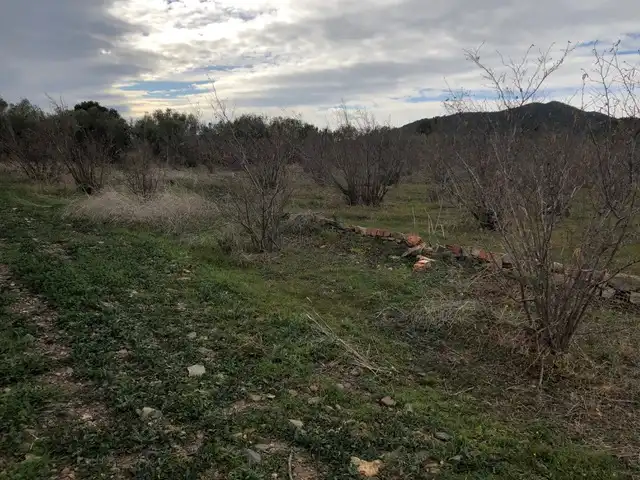 Terreno rústico en venta en Pt Rabellas, imagen 6