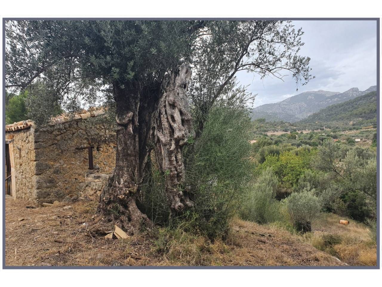 Finca rústica en venda a 18, S/N
