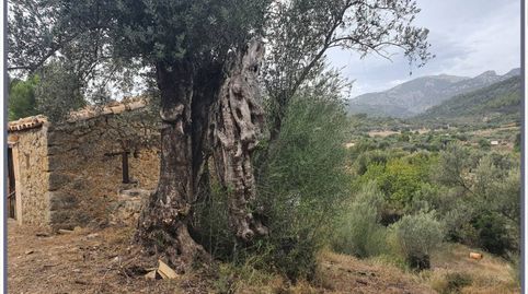 Casa rustica en venta en Selva