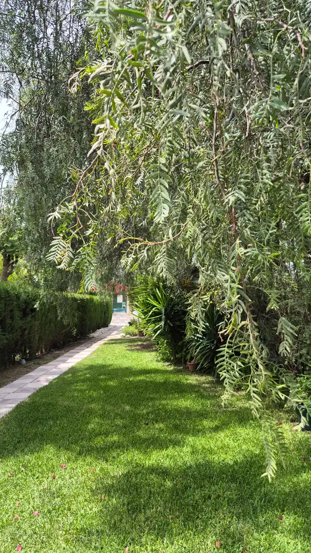 Garden of Detached homes for sale in Elche / Elx  with Air Conditioner, Heating and Terrace