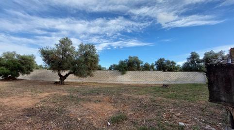 Photo 5 of Residential for sale in Urbanizacion del Casquero, 43, Arco Norte - Avda. España, Dos Hermanas