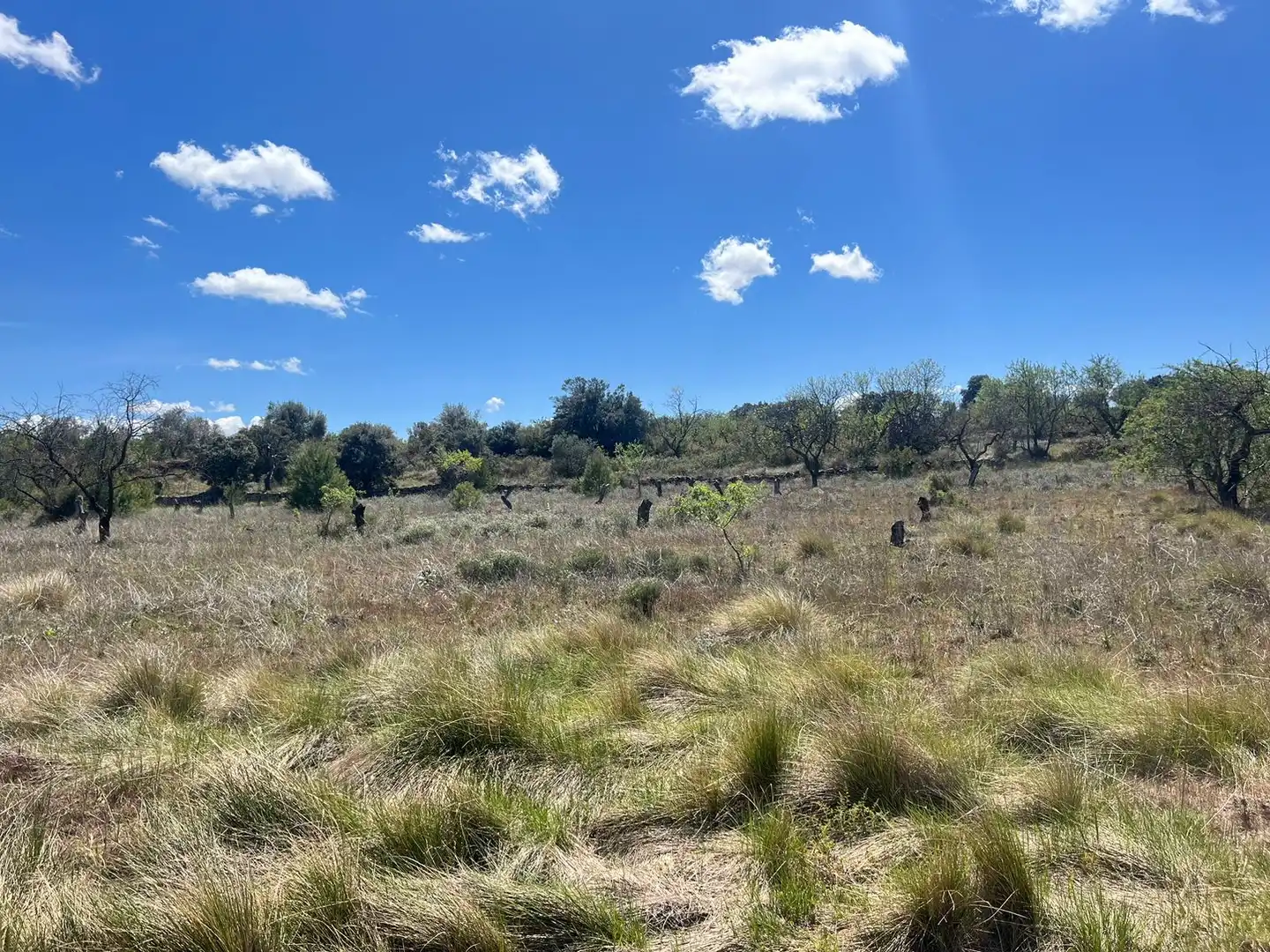 Terreni e lotti in vendita a Arens de Lledó, imagen 3