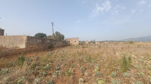 Foto 4 de Residencial en venta en Búger, Illes Balears