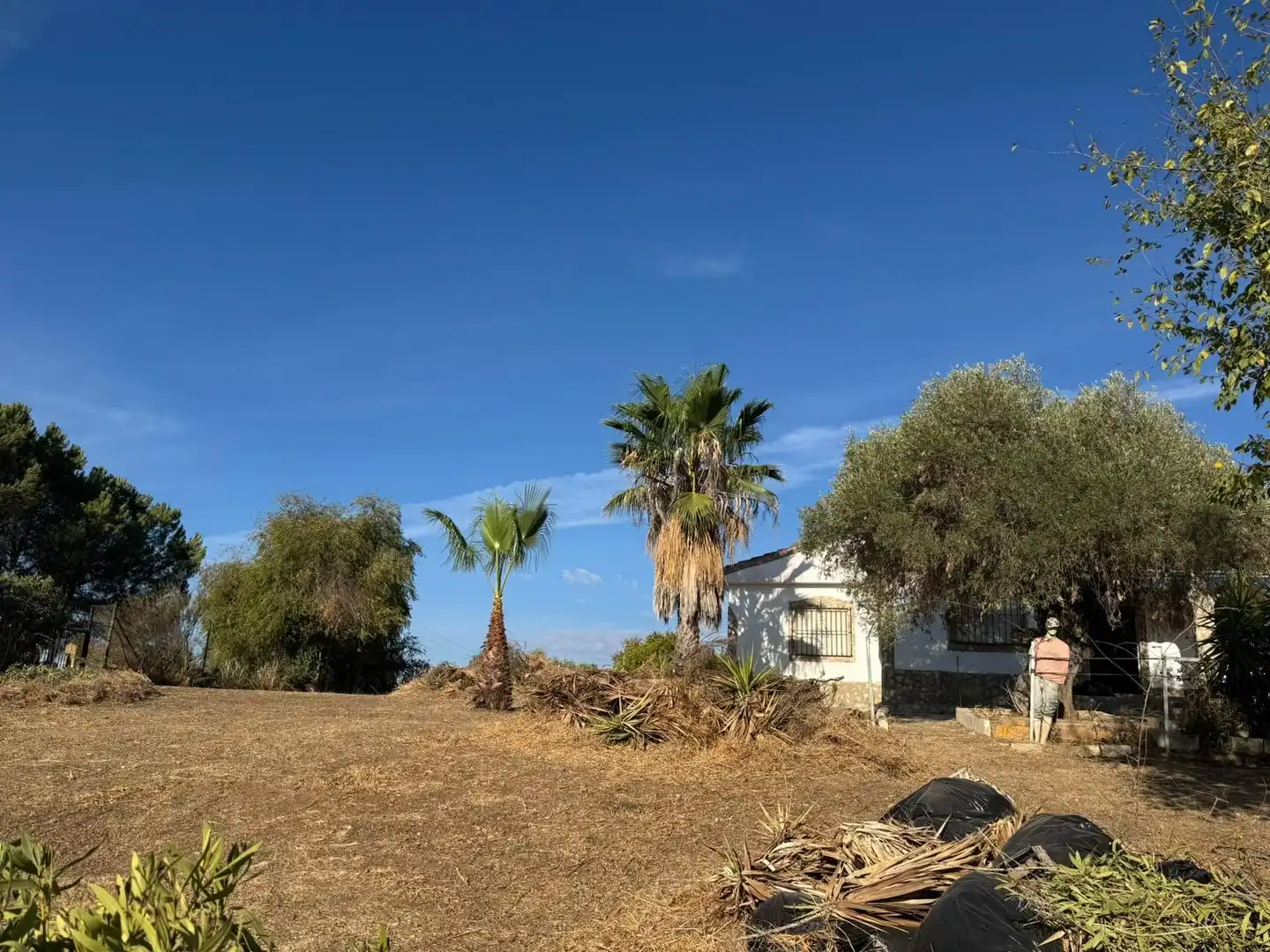Casa o xalet en venda en Sanlúcar la Mayor, Sevilla