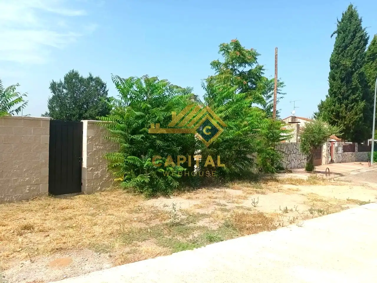 Terreni e lotti in vendita a Calle Río Vero