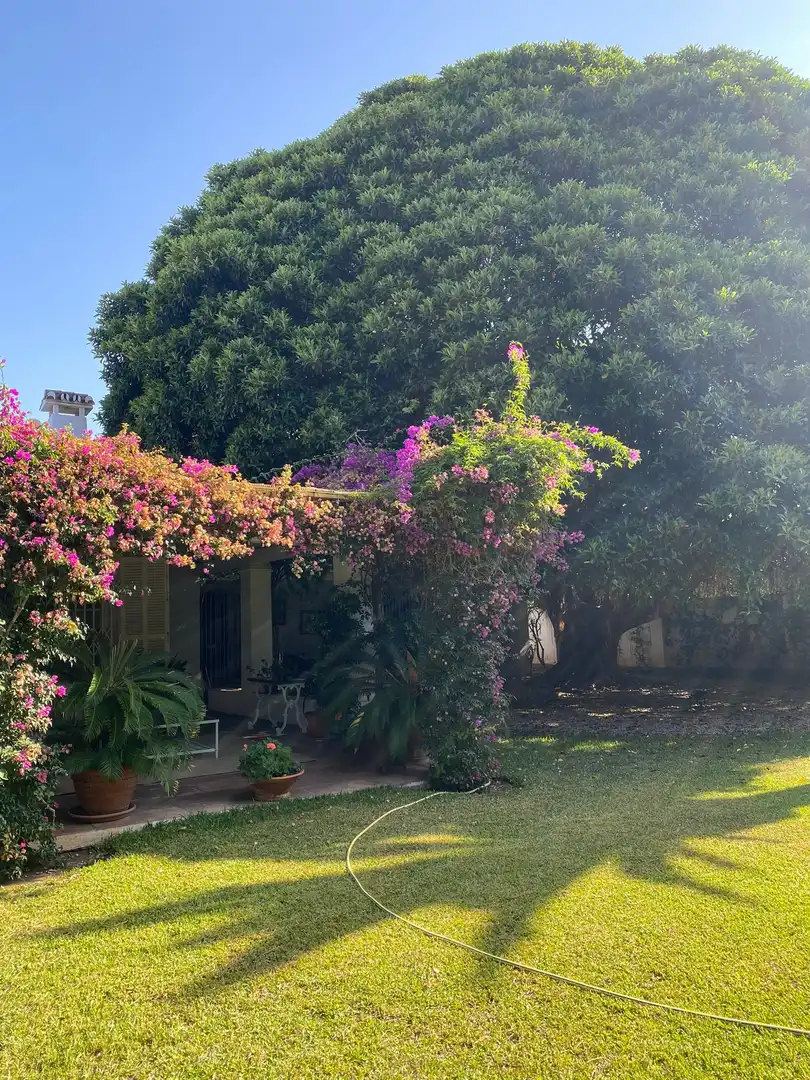 Casa amb piscina en venda a Benamara - Atalaya, imagen 8