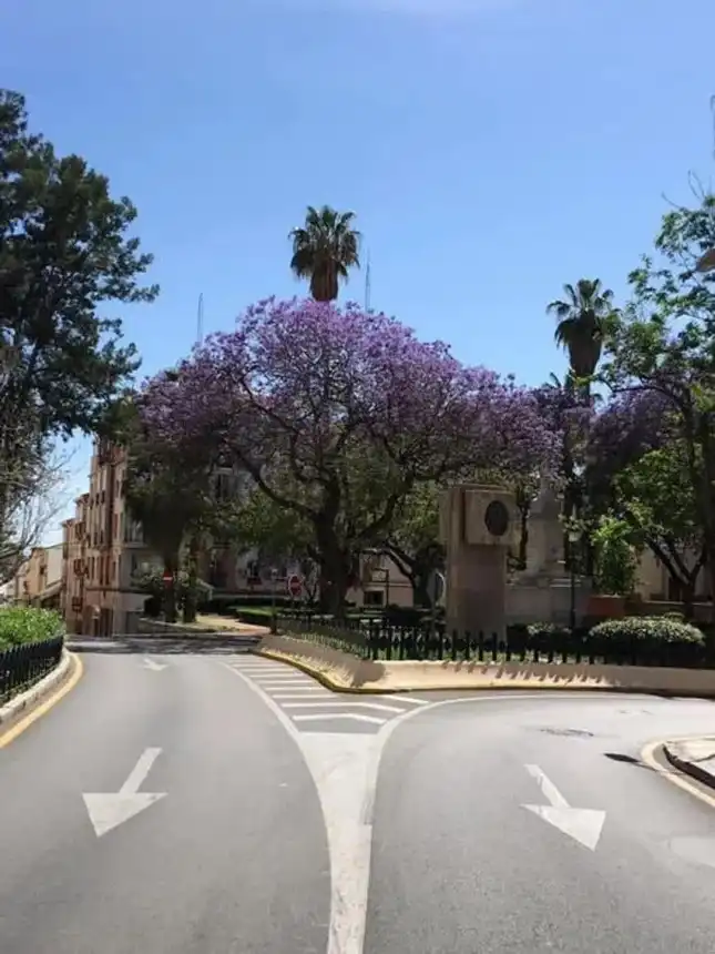 Vista exterior de Pis en venda en Málaga amb Aire condicionat, Traster i Moblat