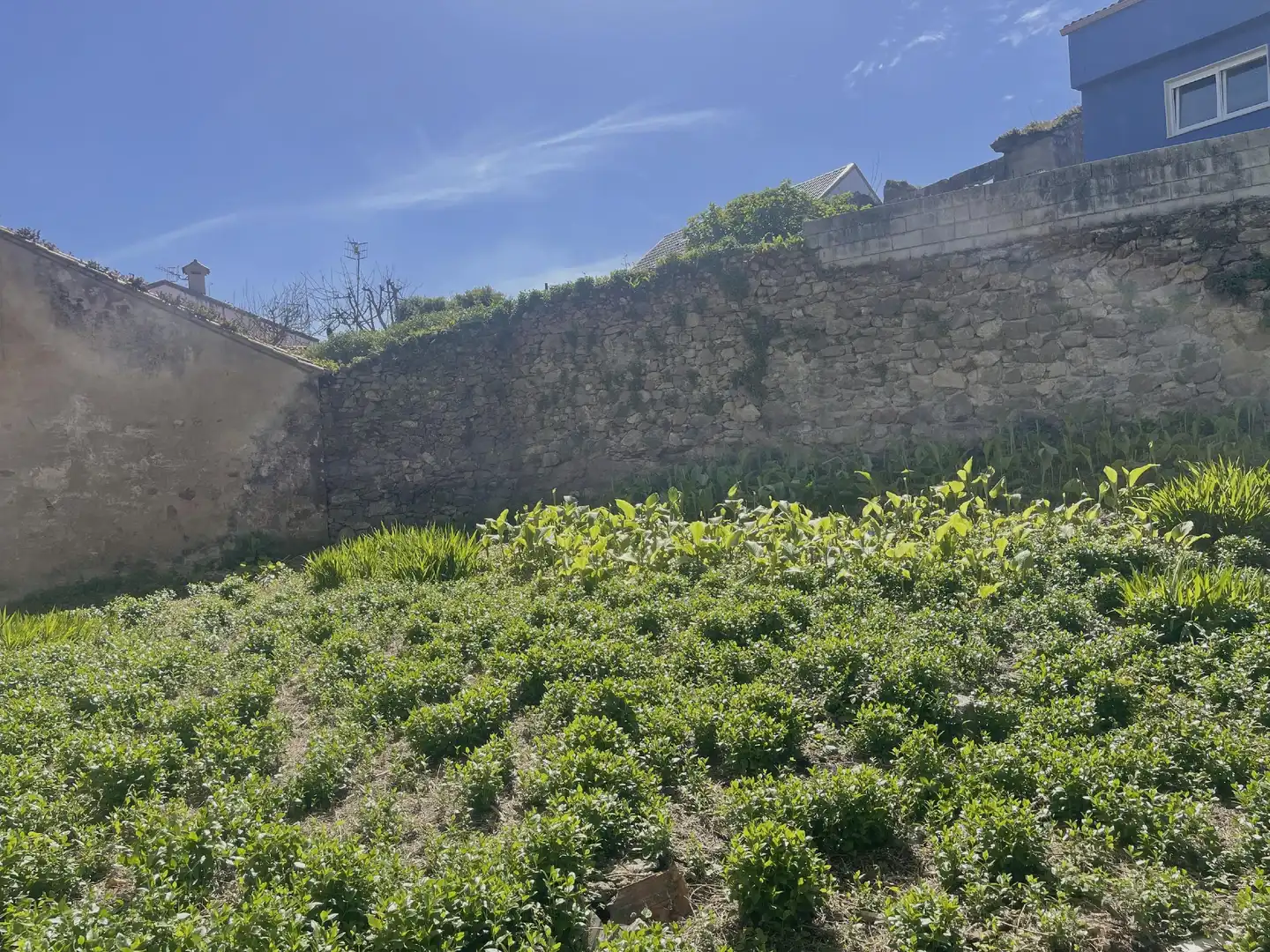Terreni e lotti in vendita a Fisterra, imagen 4