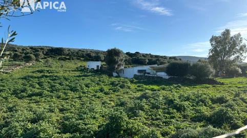 Foto 5 de Terreno en venta en Facinas, Cádiz