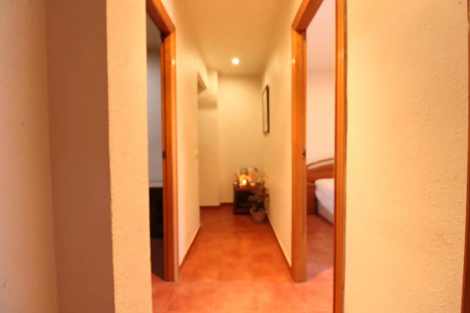 Casa o chalet en venta en Valencia con Terraza