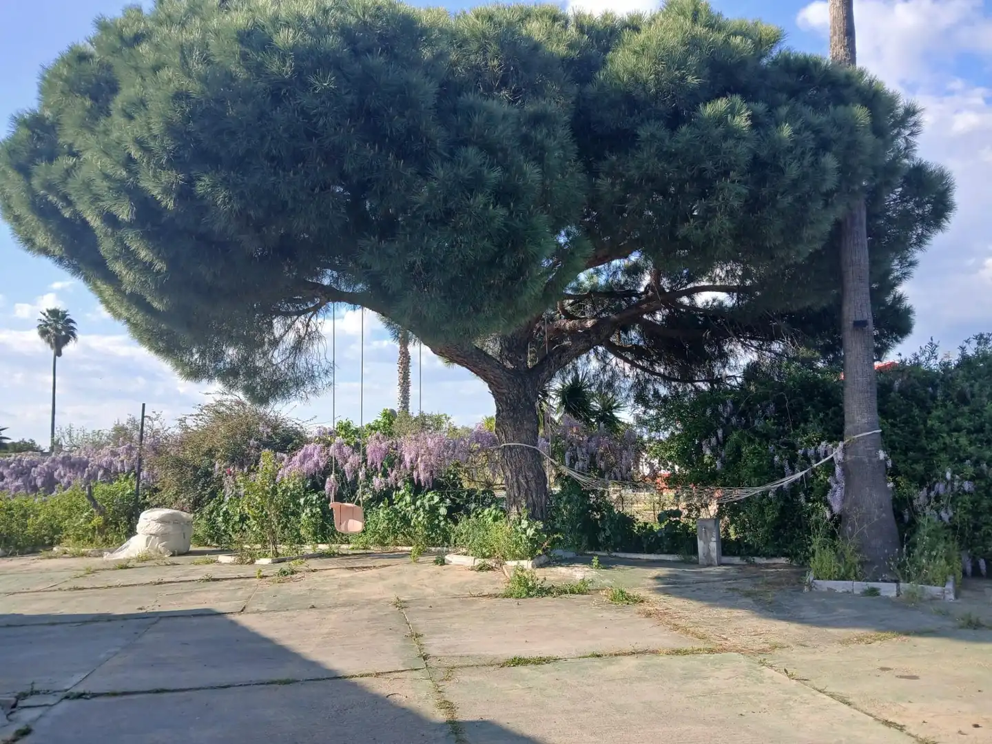 Chalet con piscina en venta en Gibraleón, imagen 4