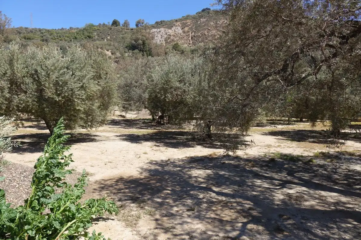 Chalet con terraza en venta en Órgiva, imagen 6