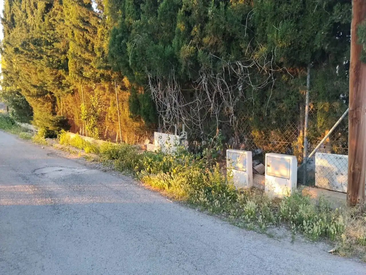 Vista exterior de Casa o chalet en venta en Murcia con Aire acondicionado, Calefacción y Jardín privado