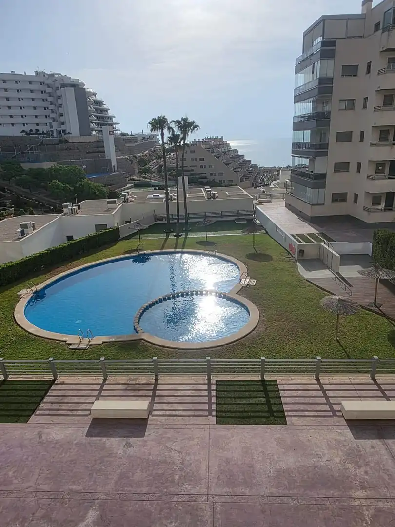 Swimming pool of Flat for rent in Elche / Elx  with Air Conditioner, Balcony and Community pool