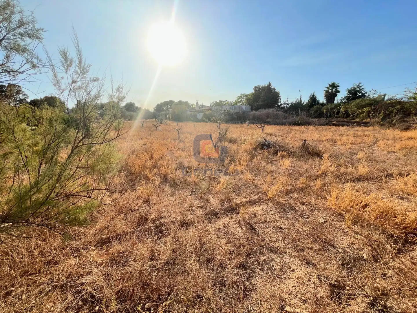 Terreny residencial en venda a Sol y Luz, imagen 11