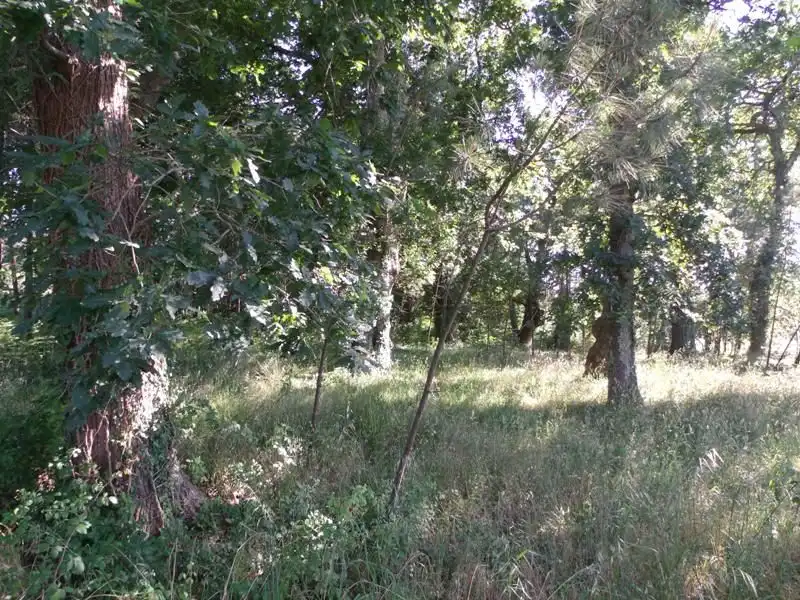 Wohnbaugrundstück zum Verkauf in Boiro, imagen 5