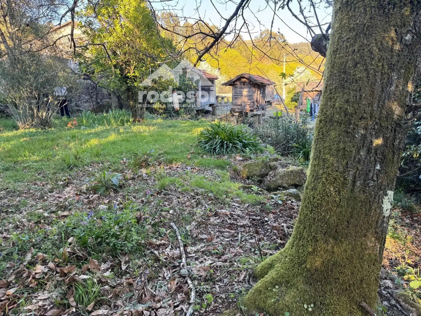 Maison à vendre à A Cañiza, imagen 10