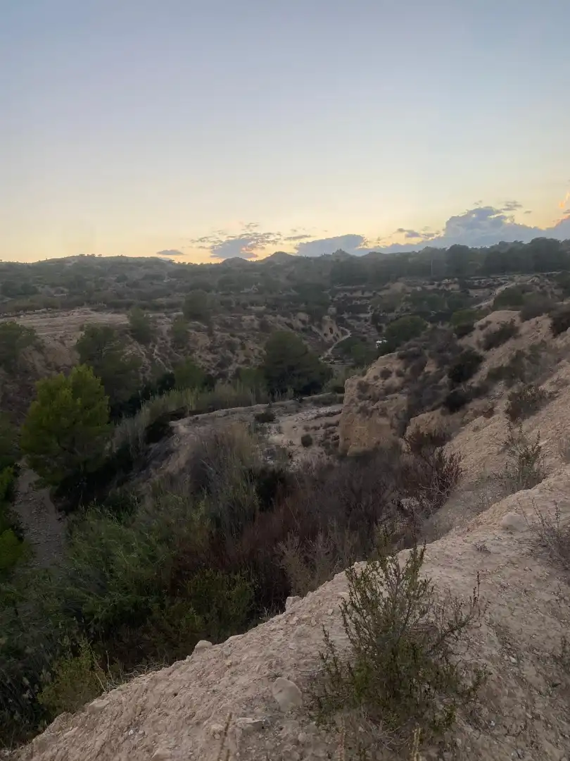 Land for sale in Camí de l'Alcoraia, 21, Cañada del Fenollar