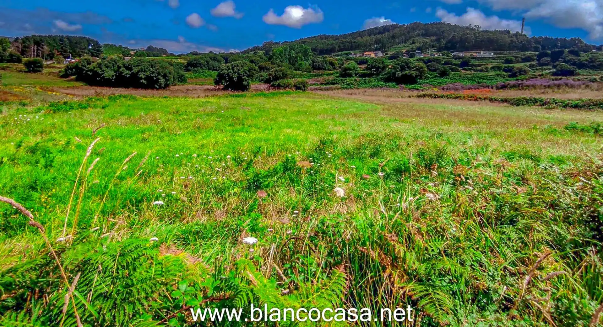 Land for sale in Carballo