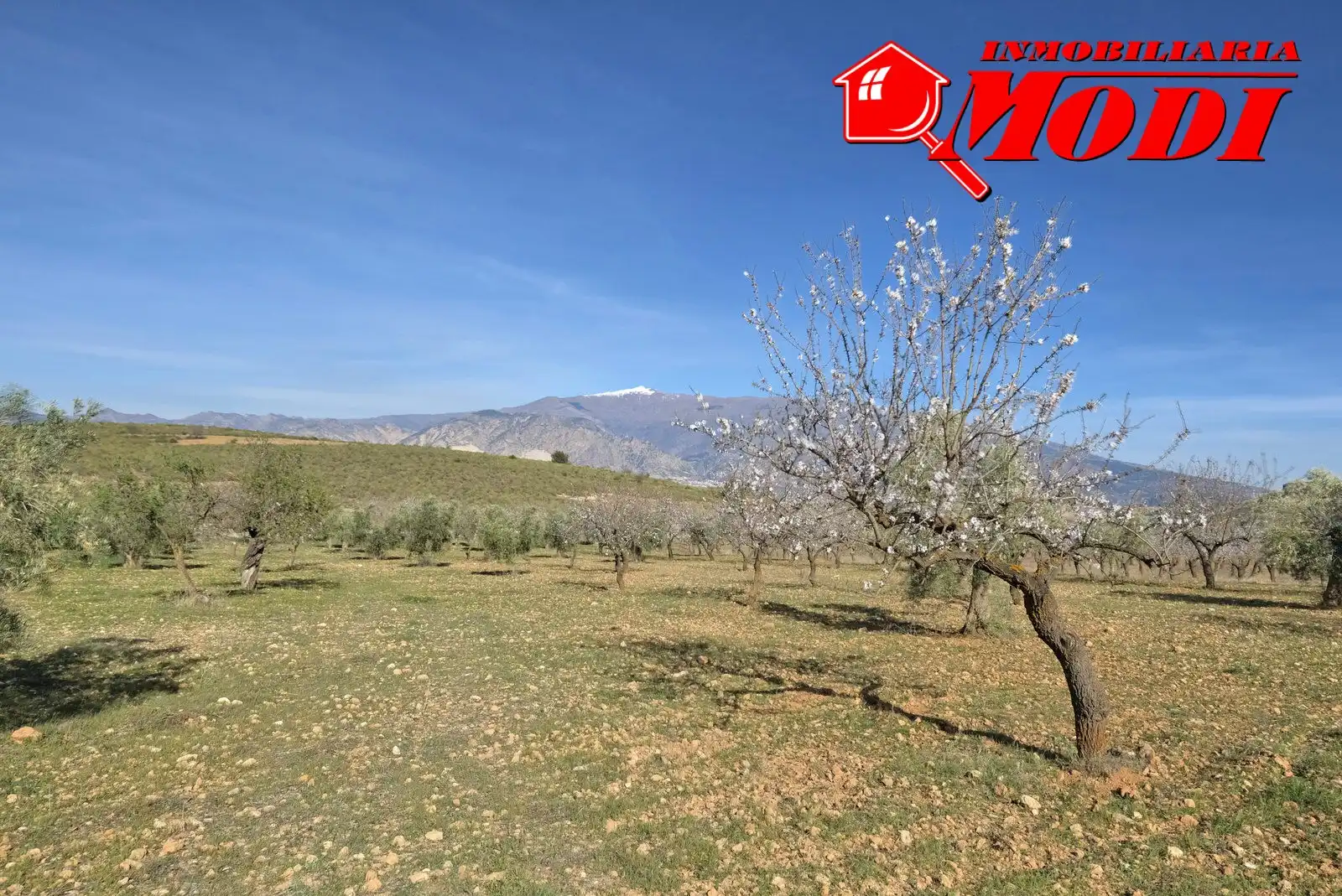 Terreni e lotti in vendita a El Valle, imagen 26