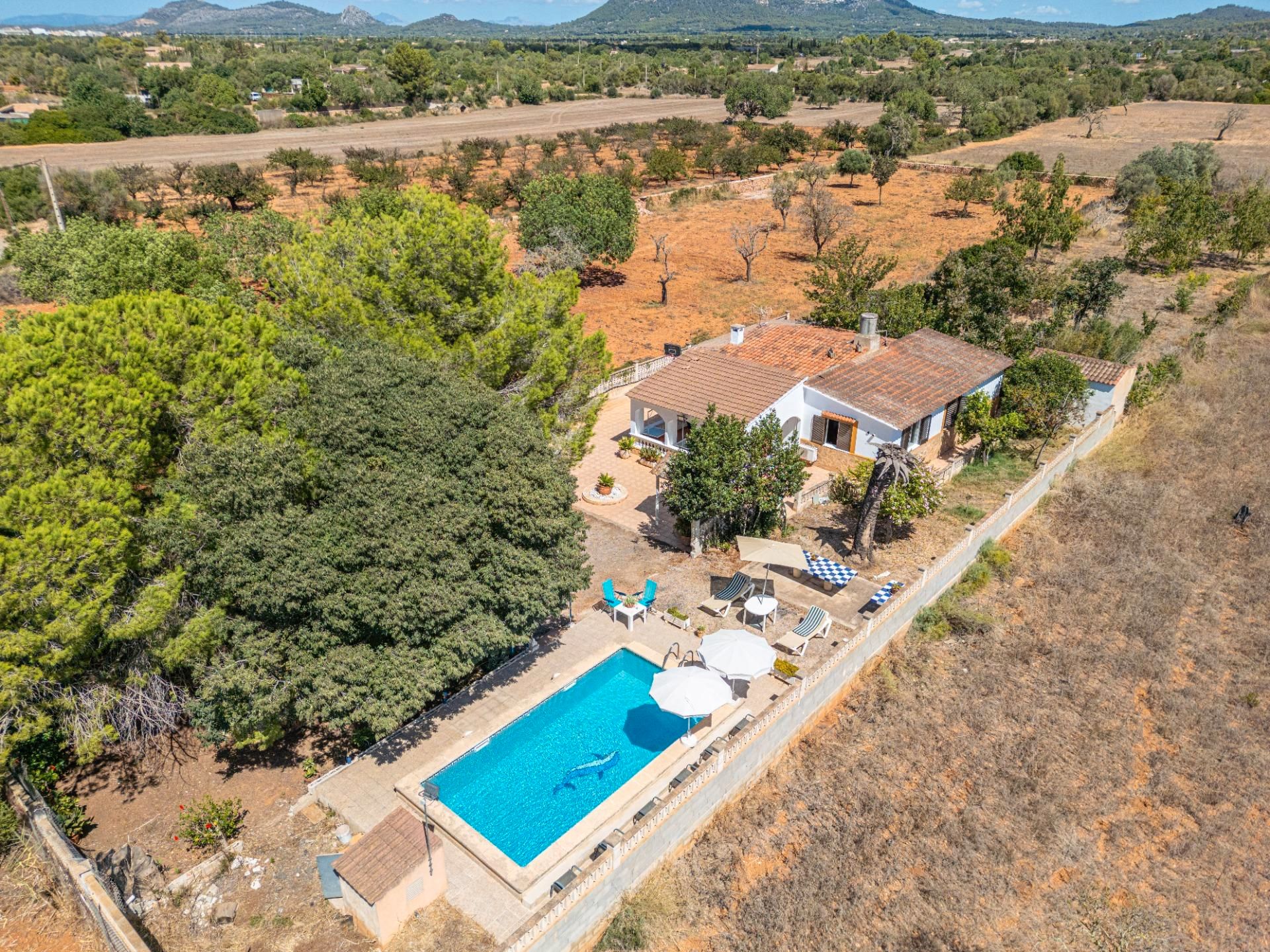 Country house to rent in Llucmajor pueblo