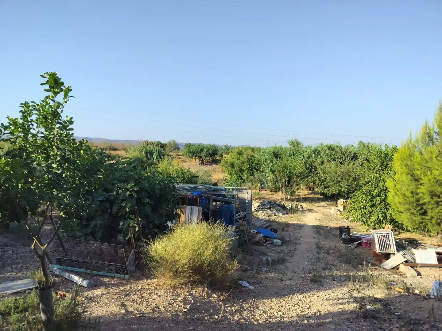 Xalet amb piscina en venda a Casinos, imagen 16