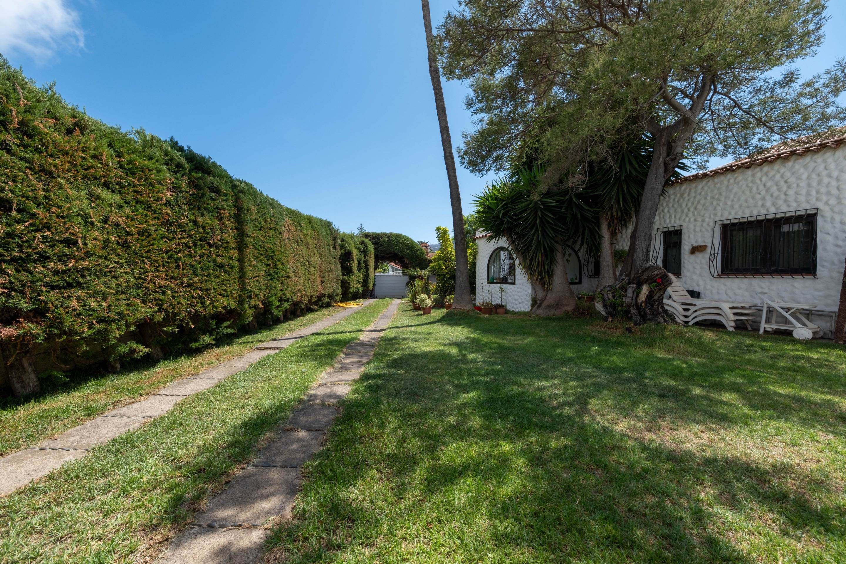 Jardí de Casa o xalet en venda en Valsequillo de Gran Canaria amb Jardí privat, Terrassa i Traster